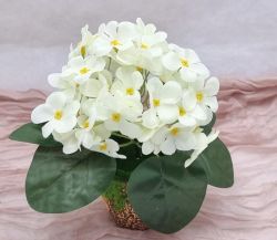  20cm-es, 5 gon 25db 4cm tmrj virgok, gynyr, leveles ibolya bokor: trtfehr